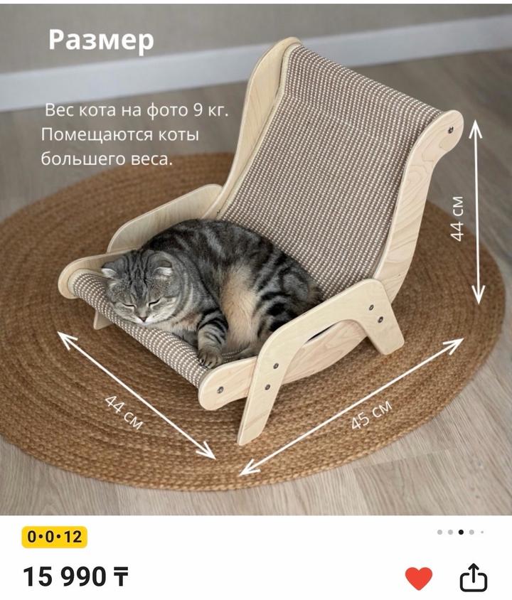 Когтеточка-лежанка