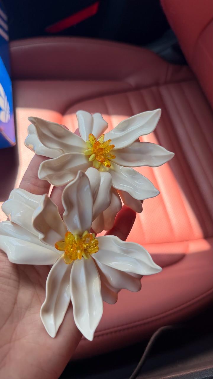 Сережки новые