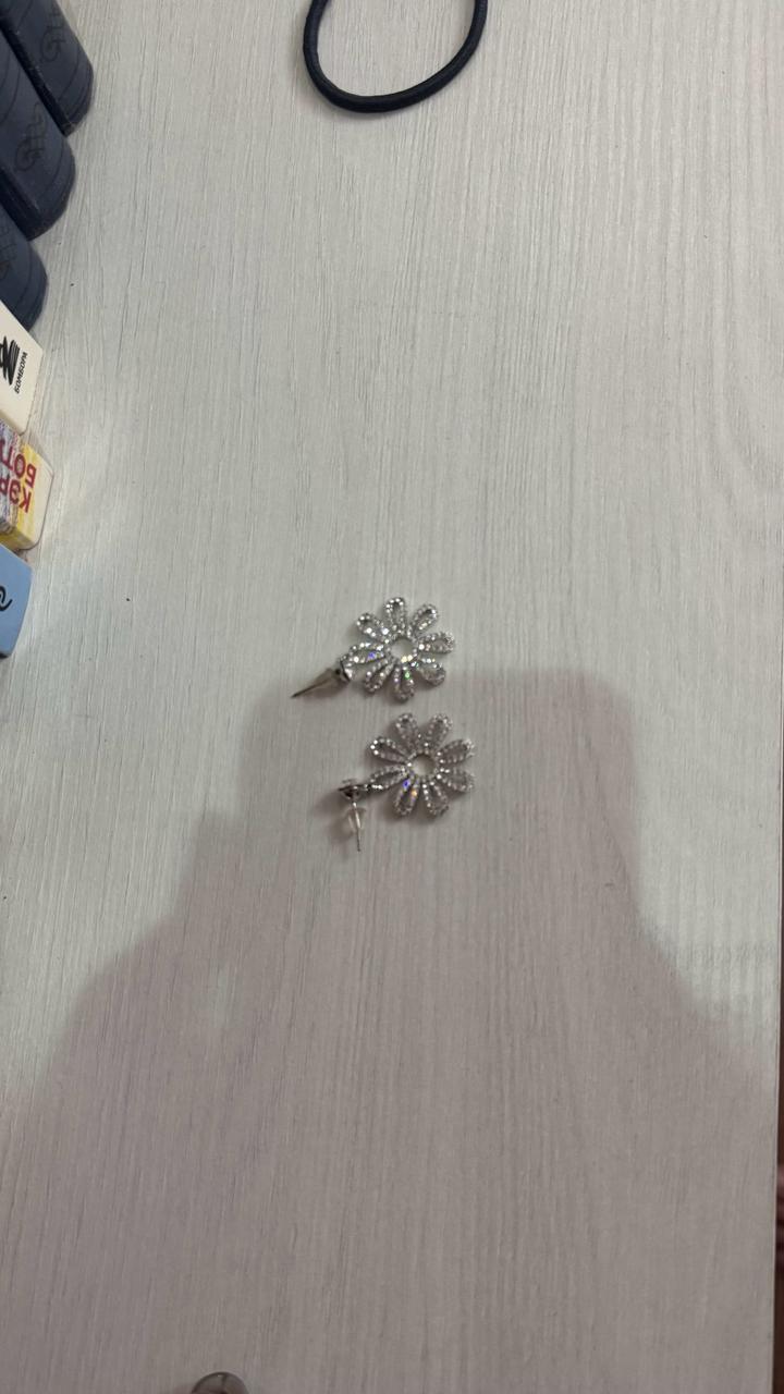 Сережки