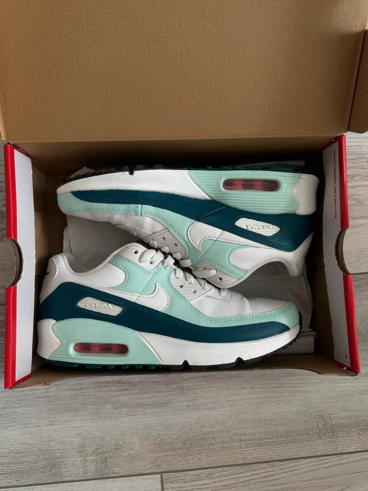Кроссовки Nike Air max 90 LTR