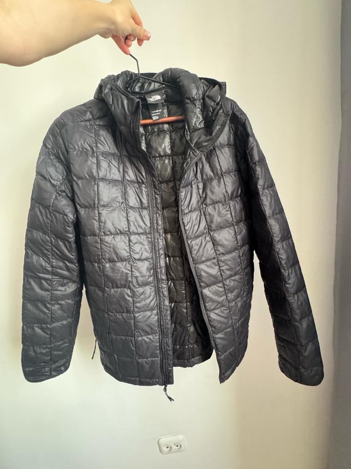 The north face
