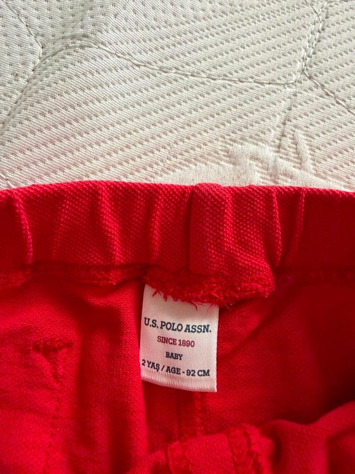Шорты polo
