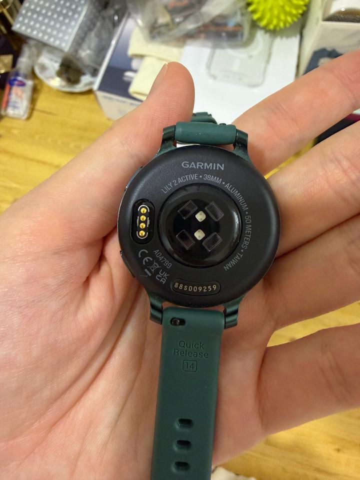 Женские часы garmin lily2