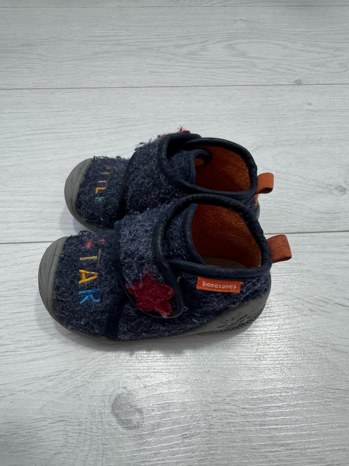 Biomecanics