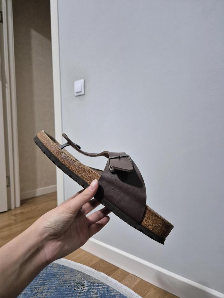 Шлепанцы мужские