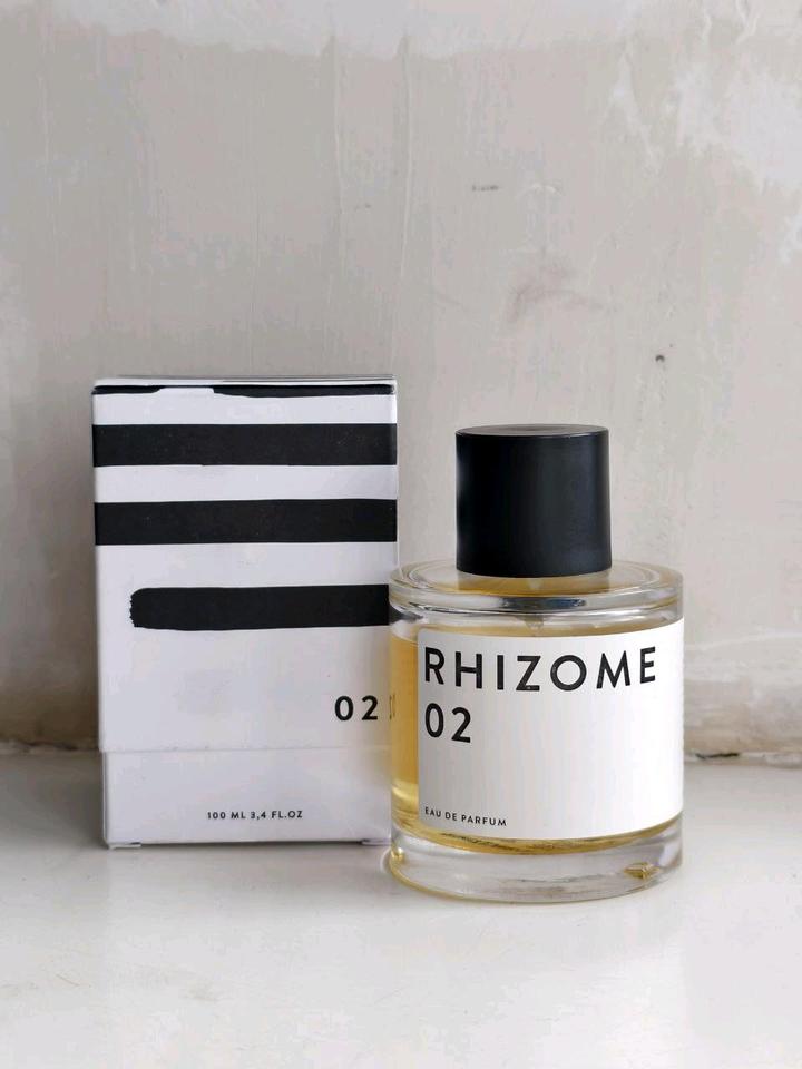 Rhizome 02