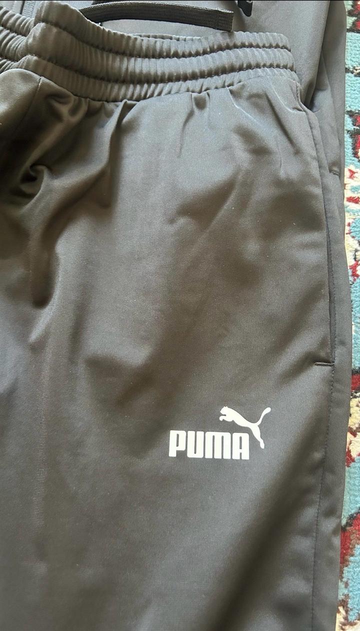 Спортивная двойка Puma