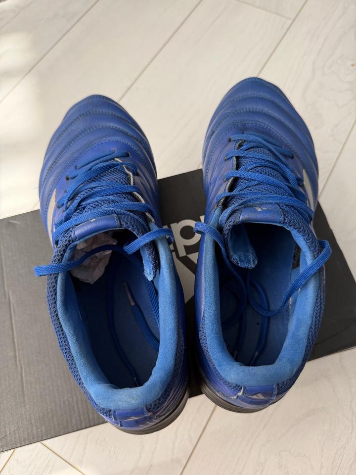 Сороконожки Adidas Copa 20.3 TF