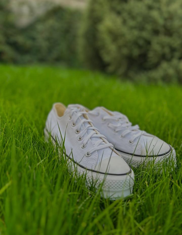 All stars кроссы белые