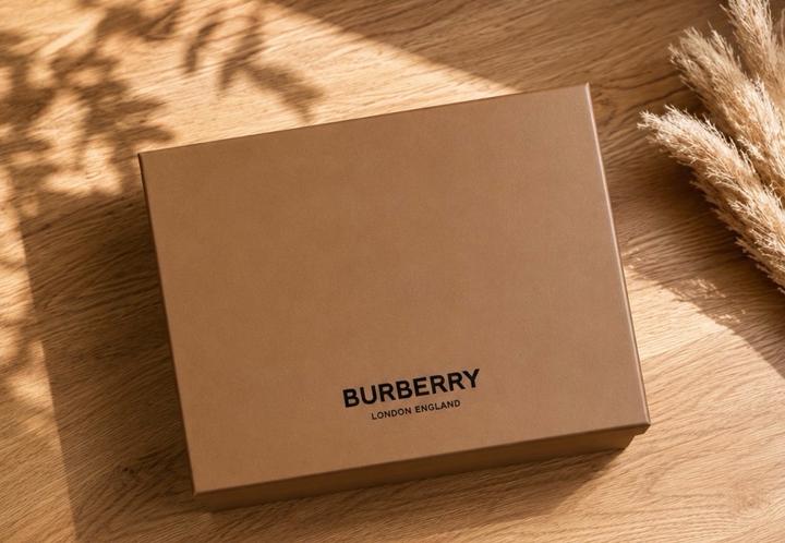 Burberry Rangleton Check Birch Brown
