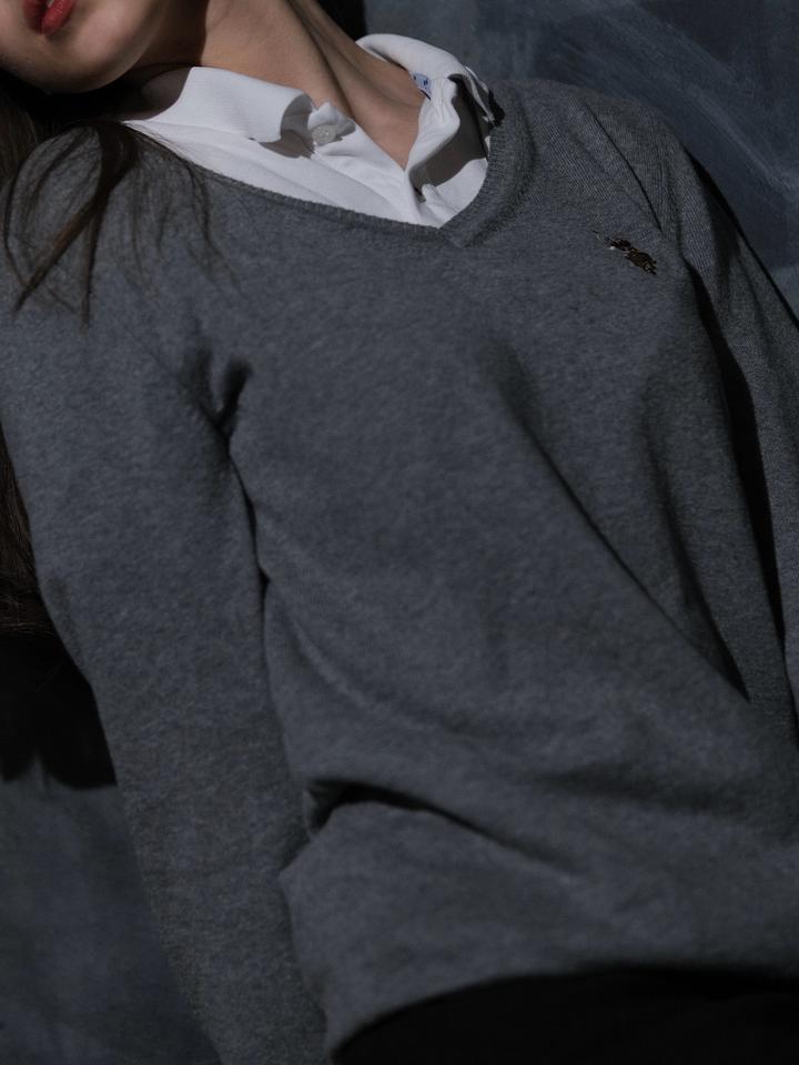 Серая Polo ASSN
