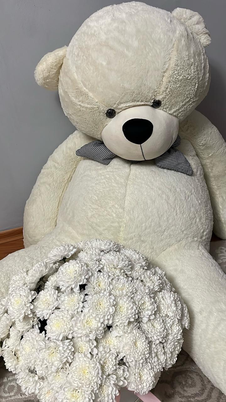 Мишка