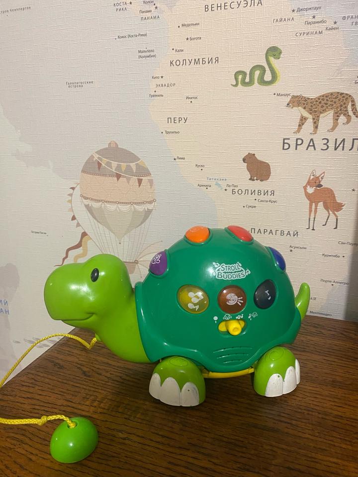 Музыкальная игрушка черепашка