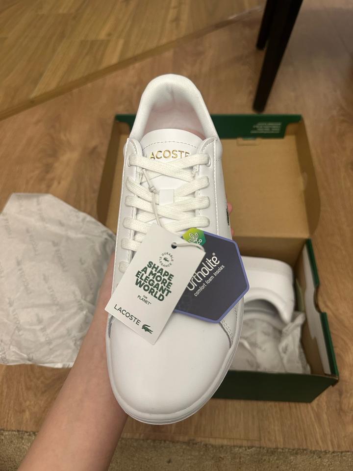 оригинальные кеды LACOSTE 🐊