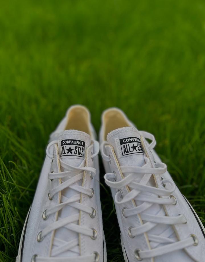 All stars кроссы белые