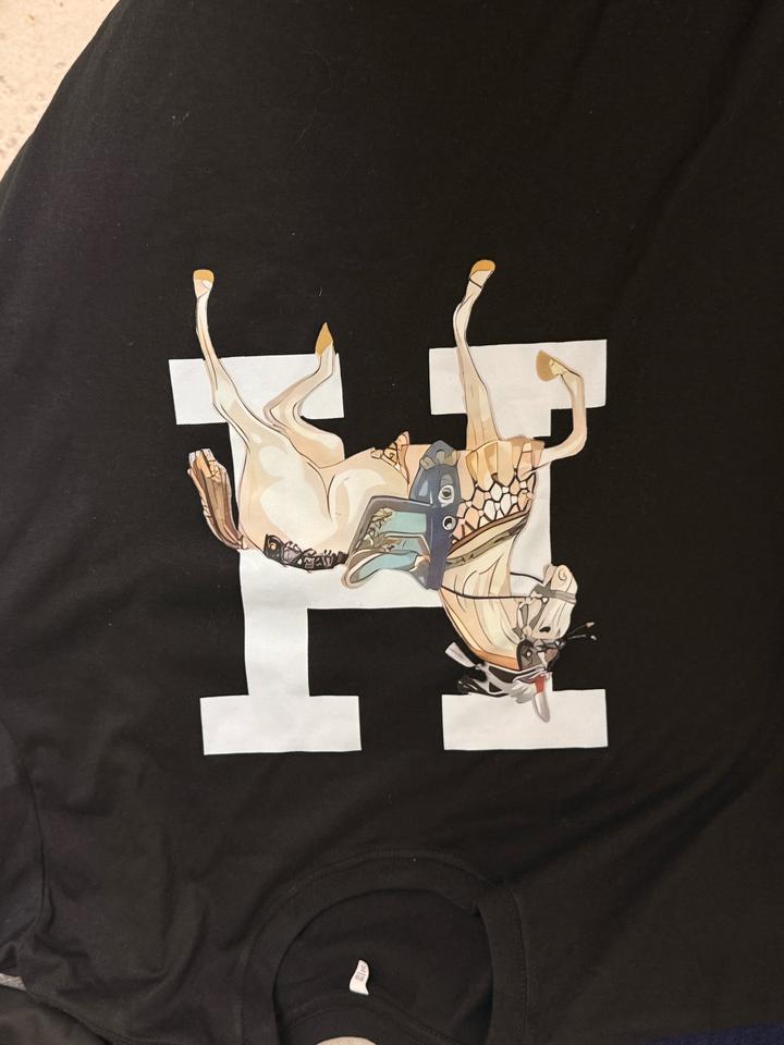 2 футболка 1 трико