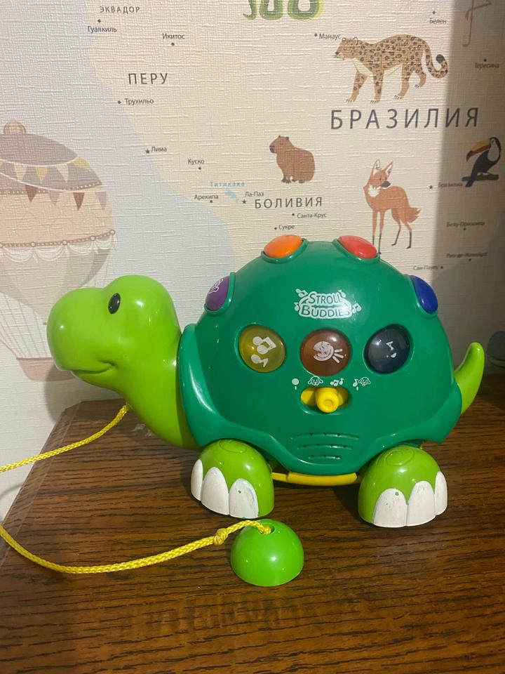 Музыкальная игрушка черепашка