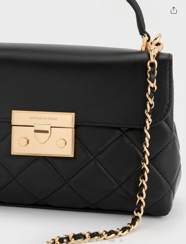Новая сумка charles&keith