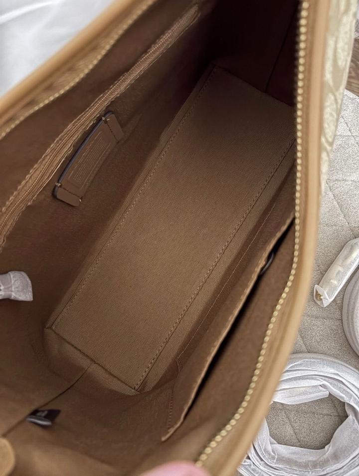 Сумка COACH Lori Hobo bag